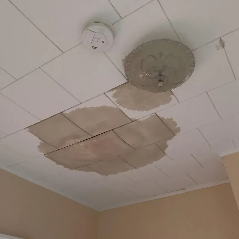 Ceiling Water Damage Repair in Cacao, PR