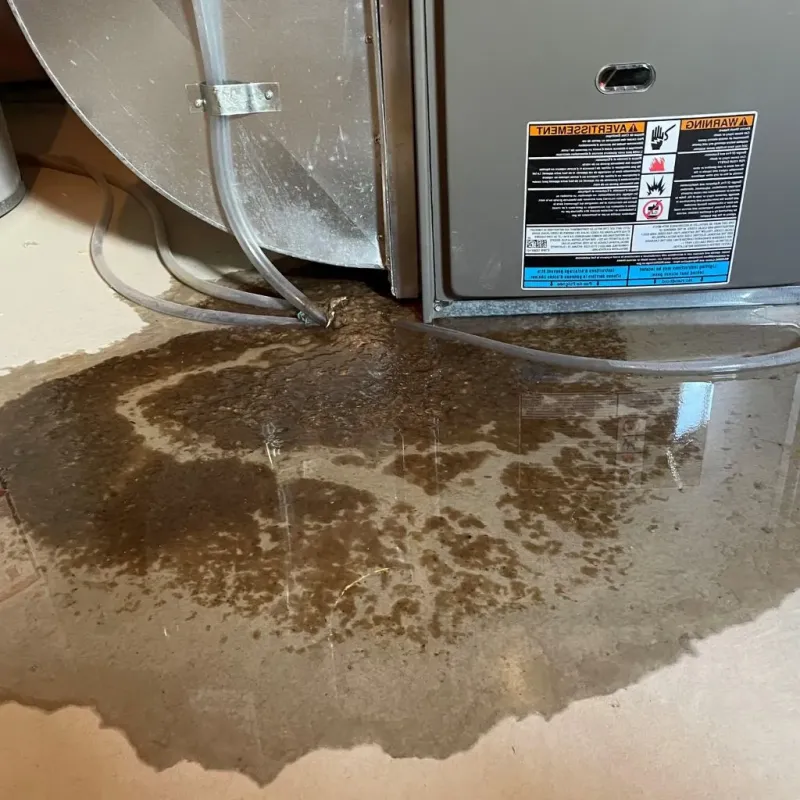 Pipe Burst and Leak Restoration in Cacao, PR